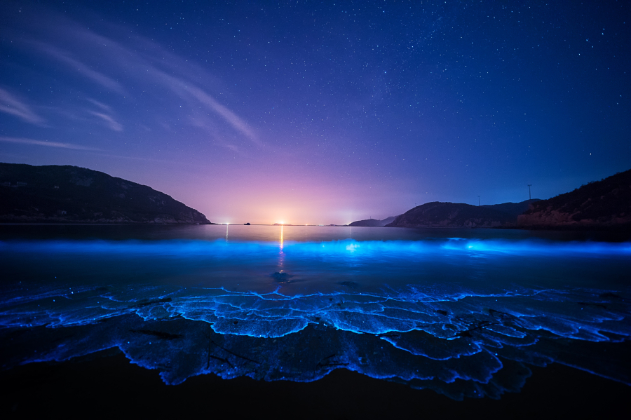 晚上海边星空动漫风景美图,夜色下海岸美丽的4k风景壁纸