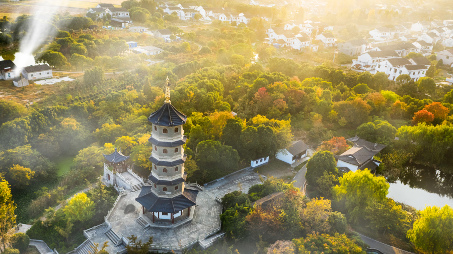 在处暑时节的村庄田野与寺庙佛塔，江阴市，江苏省，中国 